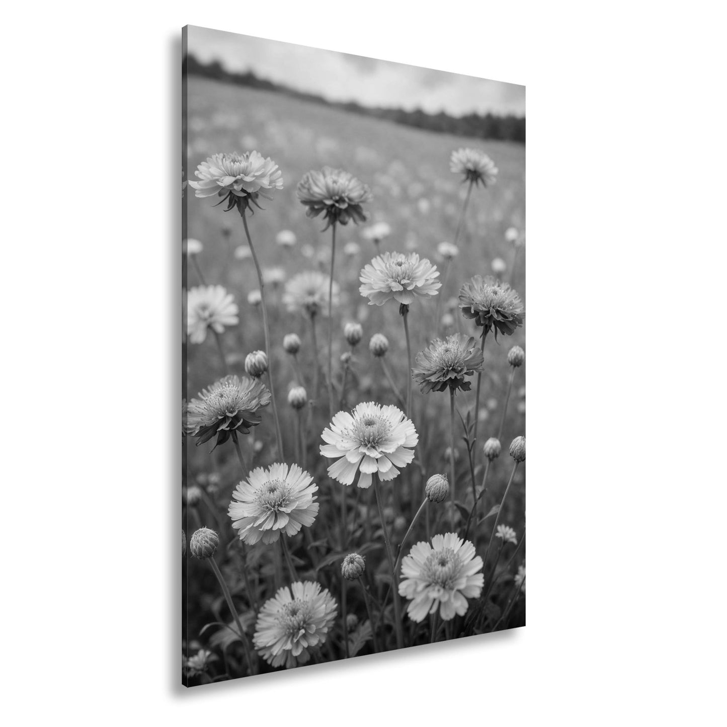 Leinwandbild Sonnige Wiesenblüten flüstern vom Sommer im Wind. - deyoli