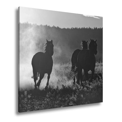 Leinwandbild Staub und Sonnenlicht – galoppierende Schatten der Freiheit - deyoli