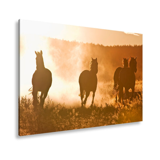 Leinwandbild Staub und Sonnenlicht – galoppierende Schatten der Freiheit - deyoli