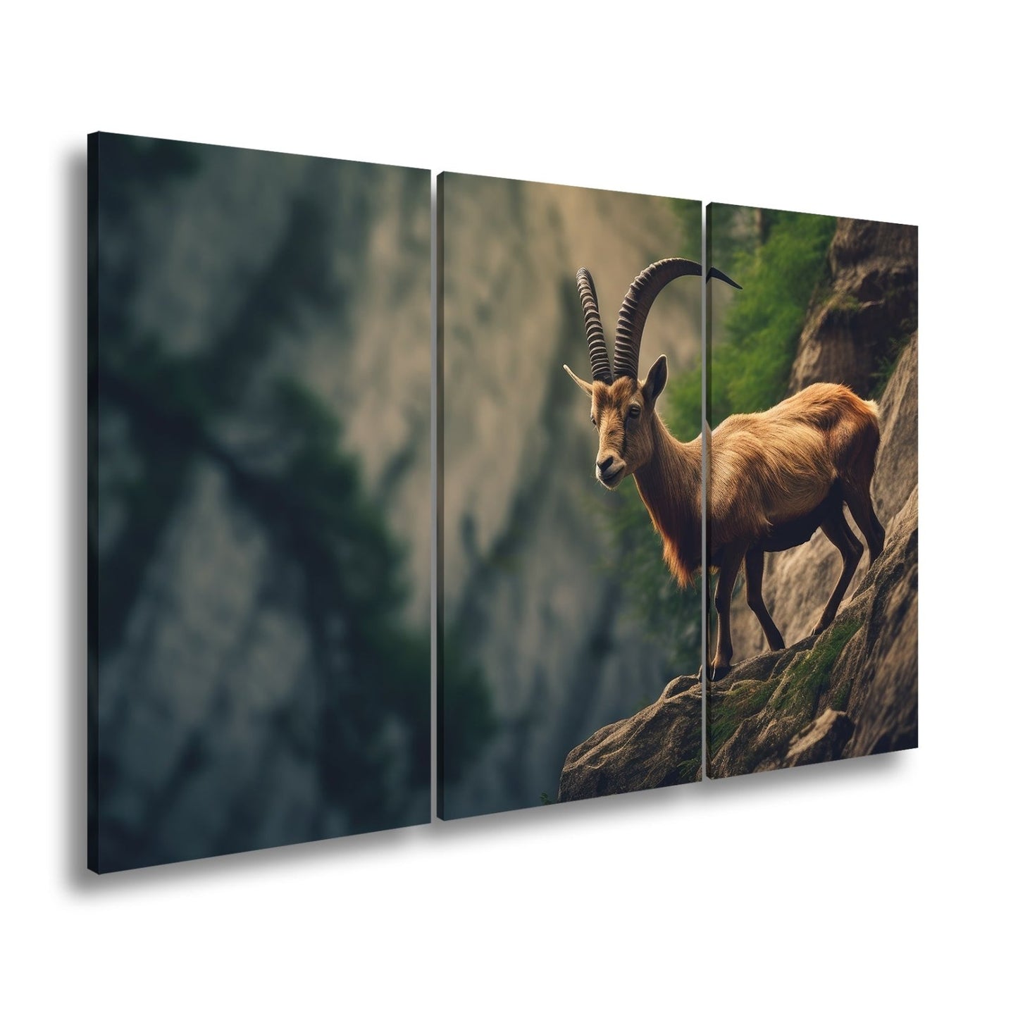 Leinwandbild Steinbock trotzt der Steilwand – ein König der Felsenwelt. - deyoli