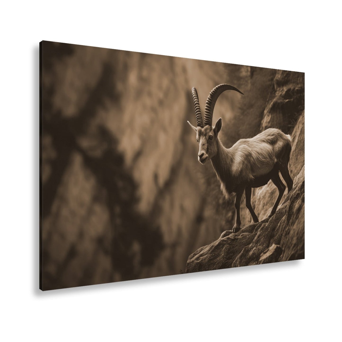Leinwandbild Steinbock trotzt der Steilwand – ein König der Felsenwelt. - deyoli