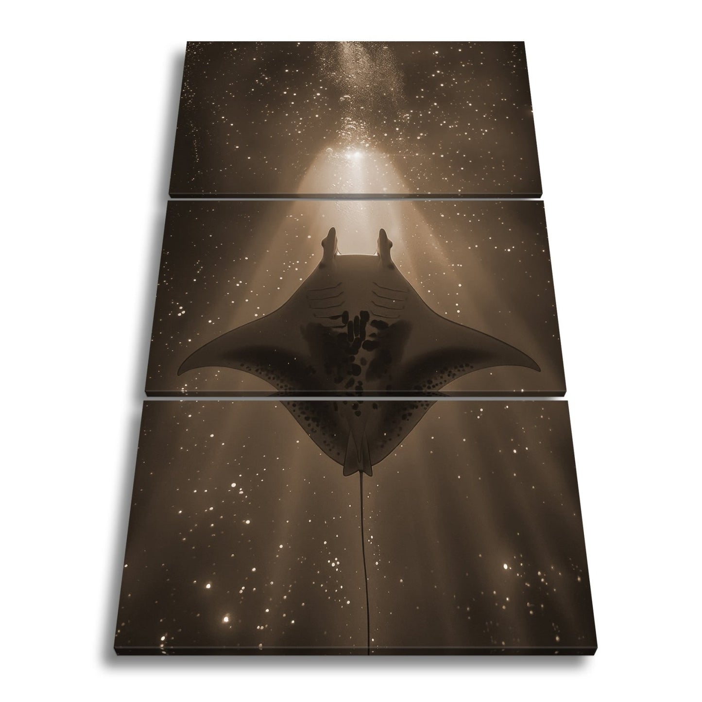 Leinwandbild Sternenlicht und Tiefe – Tanz des Mantas XXL - deyoli