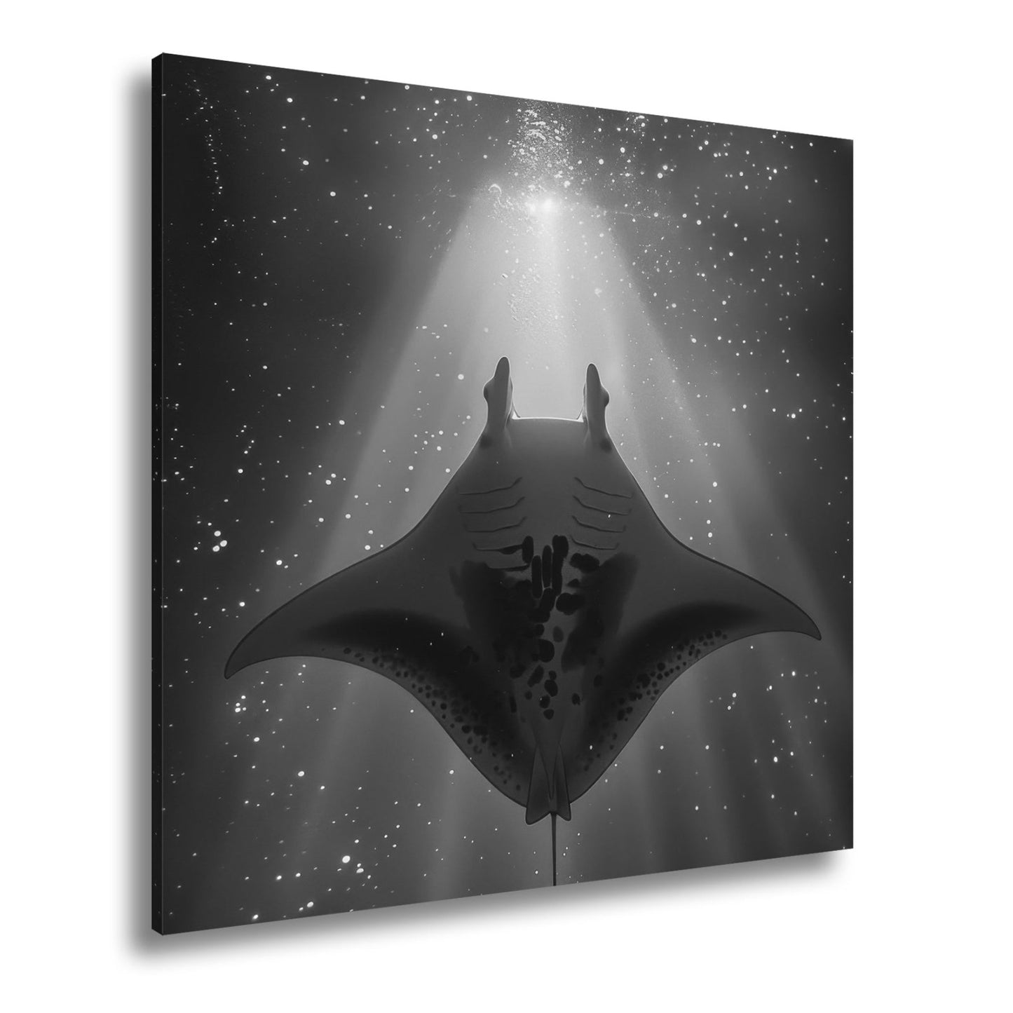 Leinwandbild Sternenlicht und Tiefe – Tanz des Mantas XXL - deyoli