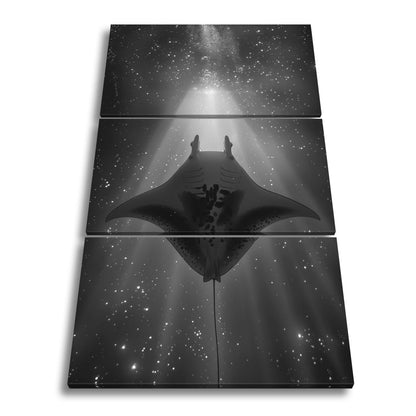 Leinwandbild Sternenlicht und Tiefe – Tanz des Mantas XXL - deyoli