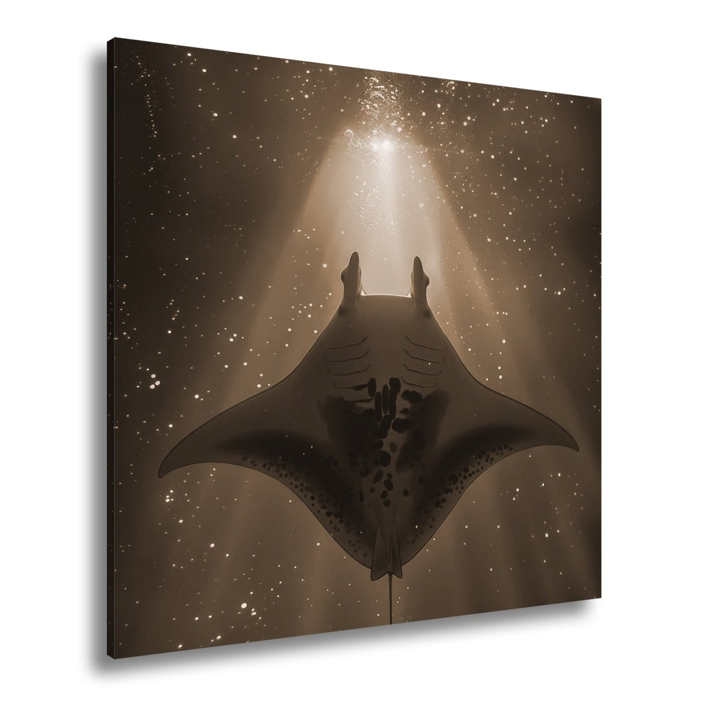 Leinwandbild Sternenlicht und Tiefe – Tanz des Mantas XXL - deyoli