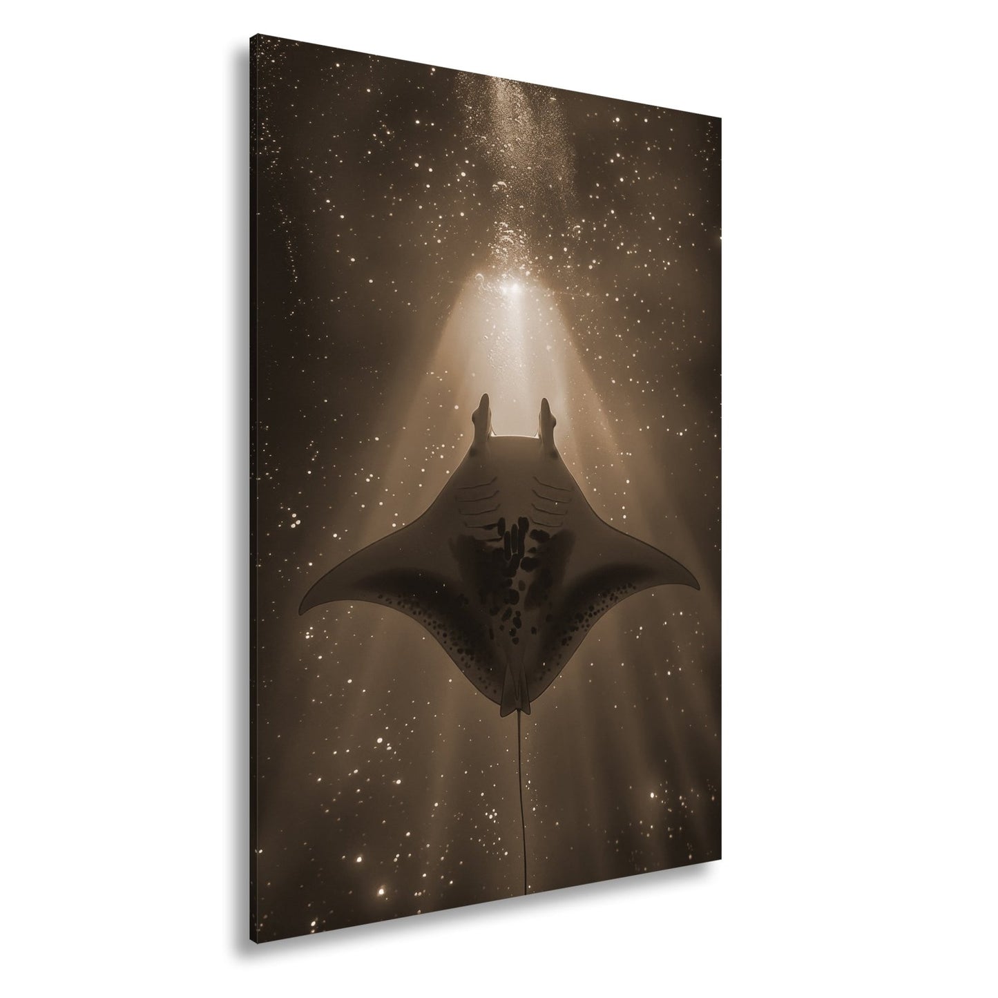 Leinwandbild Sternenlicht und Tiefe – Tanz des Mantas XXL - deyoli