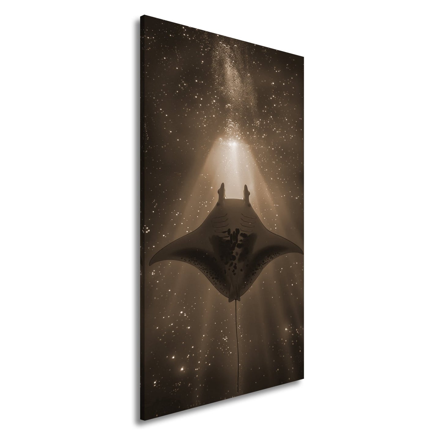 Leinwandbild Sternenlicht und Tiefe – Tanz des Mantas XXL - deyoli
