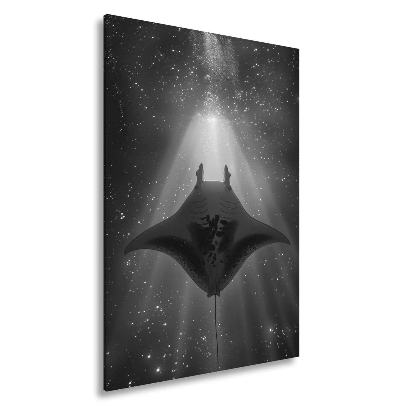 Leinwandbild Sternenlicht und Tiefe – Tanz des Mantas XXL - deyoli