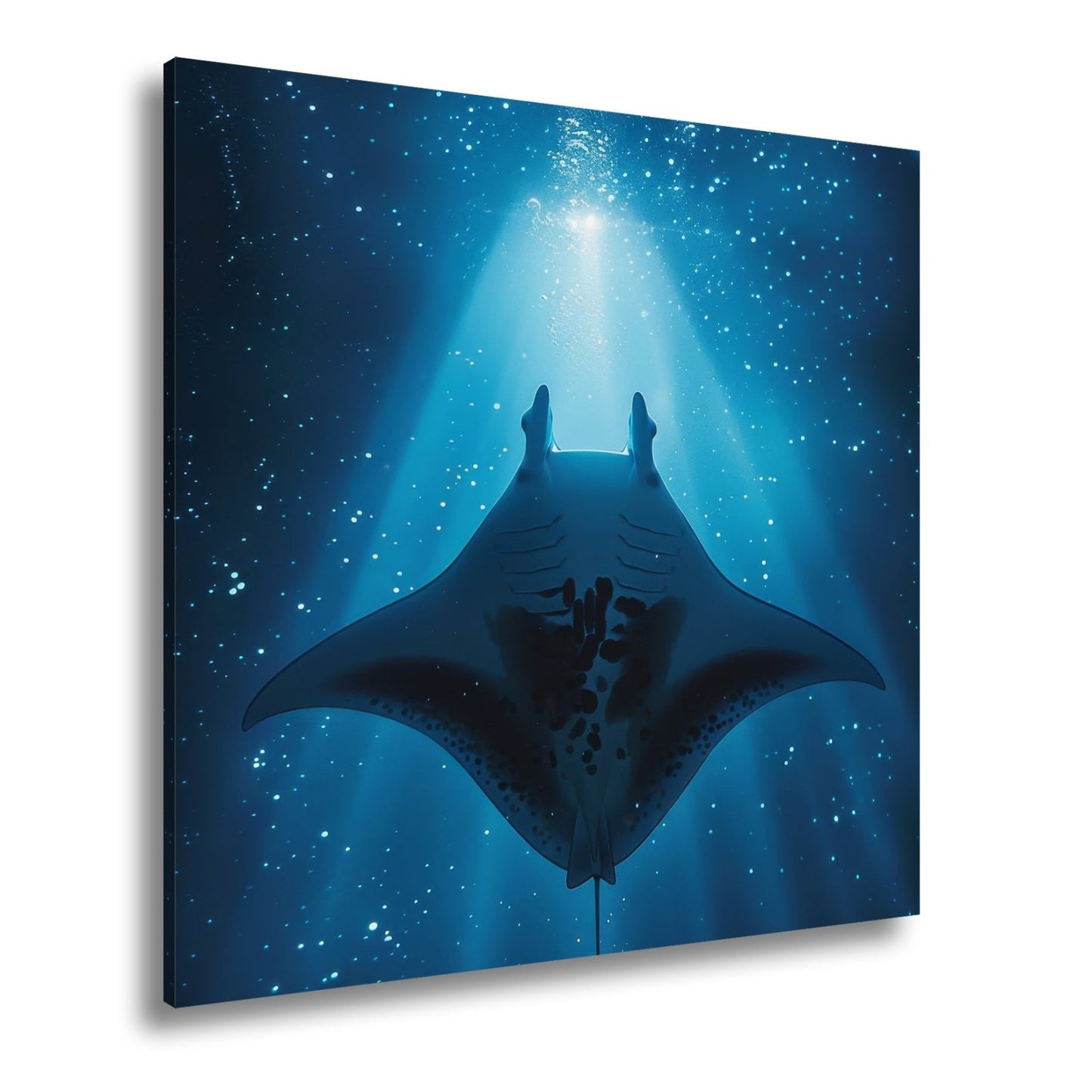 Leinwandbild Sternenlicht und Tiefe – Tanz des Mantas XXL - deyoli