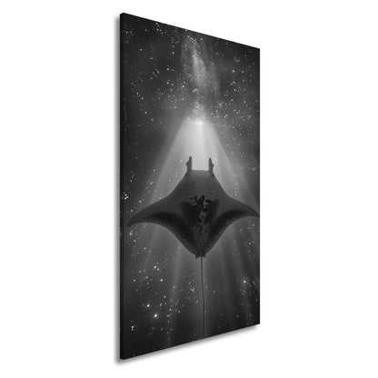 Leinwandbild Sternenlicht und Tiefe – Tanz des Mantas XXL - deyoli