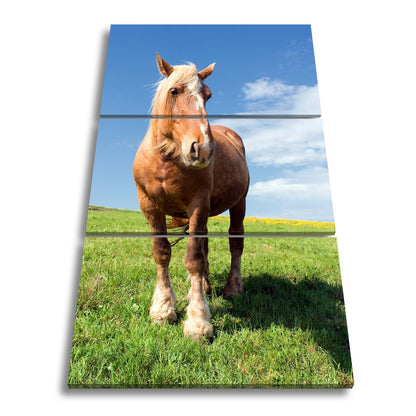 Leinwandbild Stolzes Kaltblut ruht auf sattgrüner Frühlingswiese. - deyoli