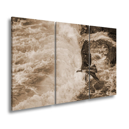 Leinwandbild Stürzender Jäger im Wellenschlag mit Beute - deyoli