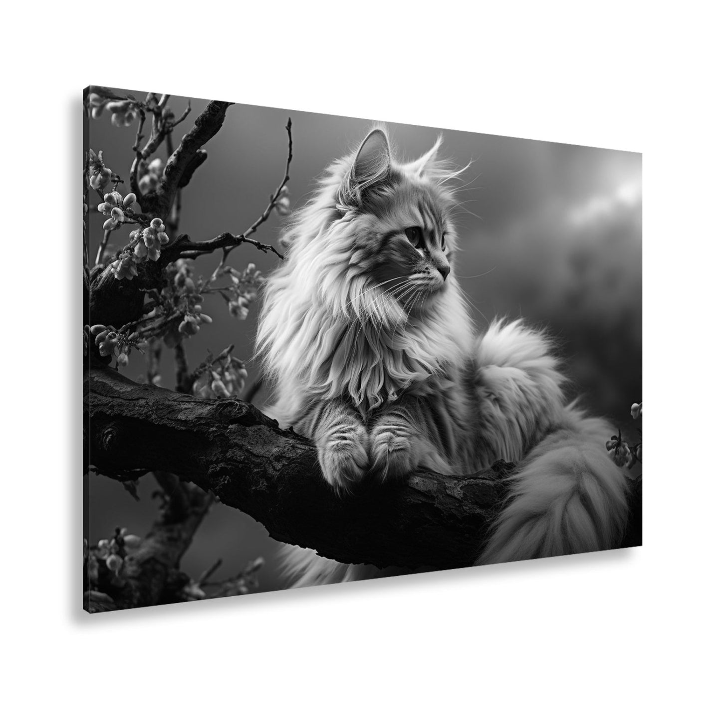 Leinwandbild Sturmgrau und blütenzart – majestätisch ruht die Katze - deyoli
