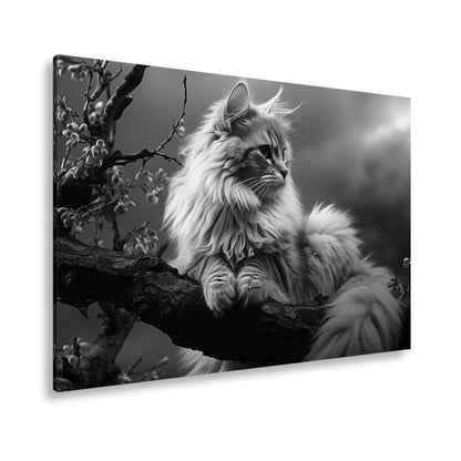 Leinwandbild Sturmgrau und blütenzart – majestätisch ruht die Katze - deyoli