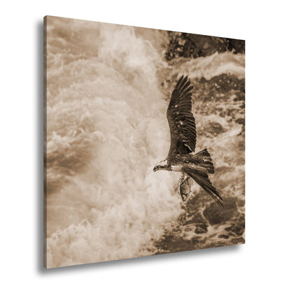 Leinwandbild Stürzender Jäger im Wellenschlag mit Beute - deyoli