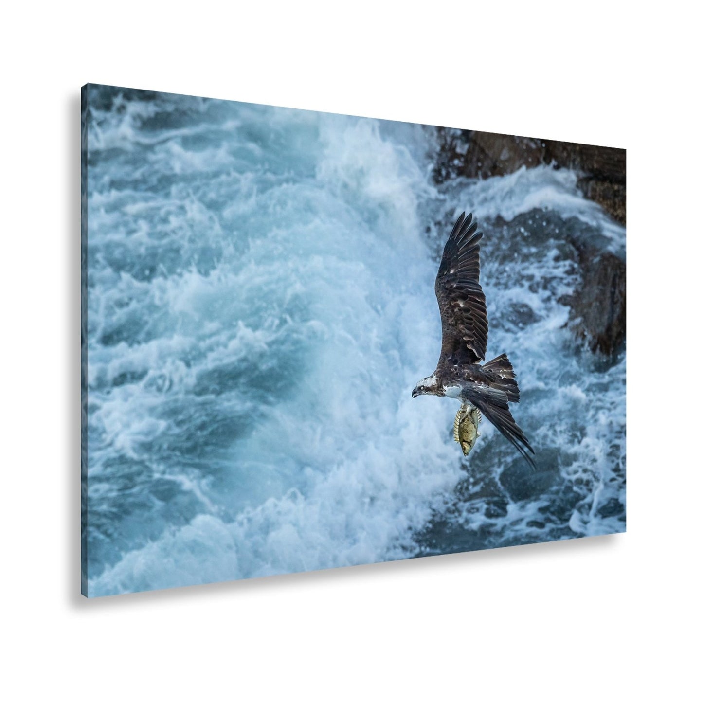 Leinwandbild Stürzender Jäger im Wellenschlag mit Beute - deyoli