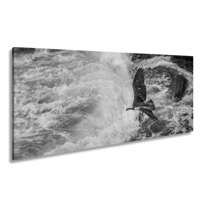 Leinwandbild Stürzender Jäger im Wellenschlag mit Beute - deyoli