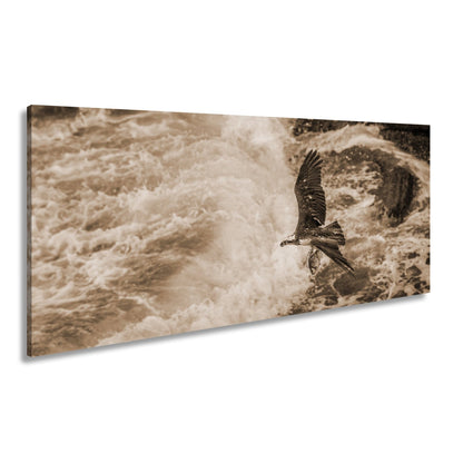 Leinwandbild Stürzender Jäger im Wellenschlag mit Beute - deyoli