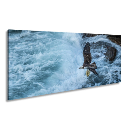 Leinwandbild Stürzender Jäger im Wellenschlag mit Beute - deyoli