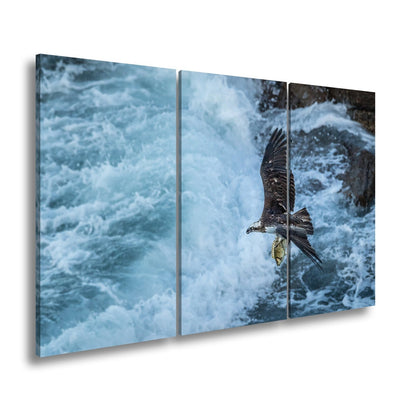 Leinwandbild Stürzender Jäger im Wellenschlag mit Beute - deyoli
