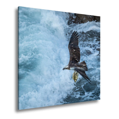 Leinwandbild Stürzender Jäger im Wellenschlag mit Beute - deyoli