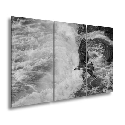 Leinwandbild Stürzender Jäger im Wellenschlag mit Beute - deyoli