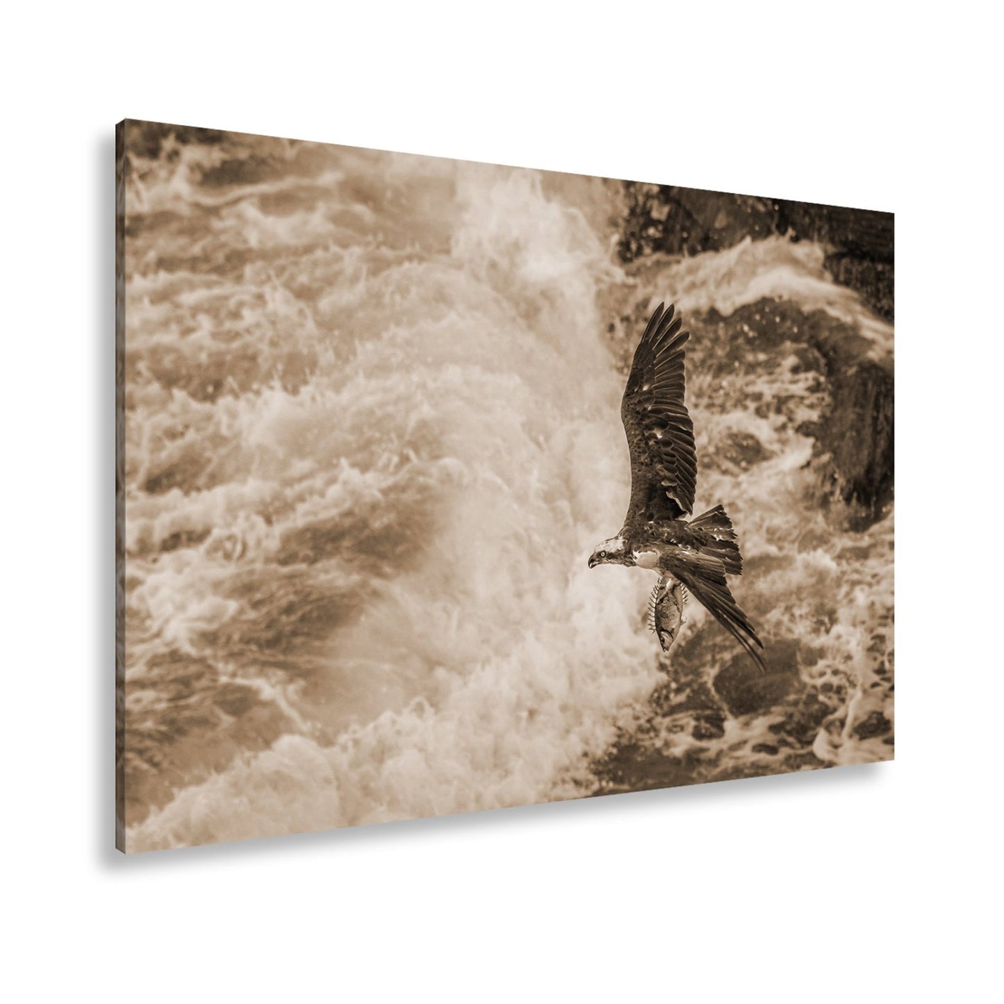 Leinwandbild Stürzender Jäger im Wellenschlag mit Beute - deyoli