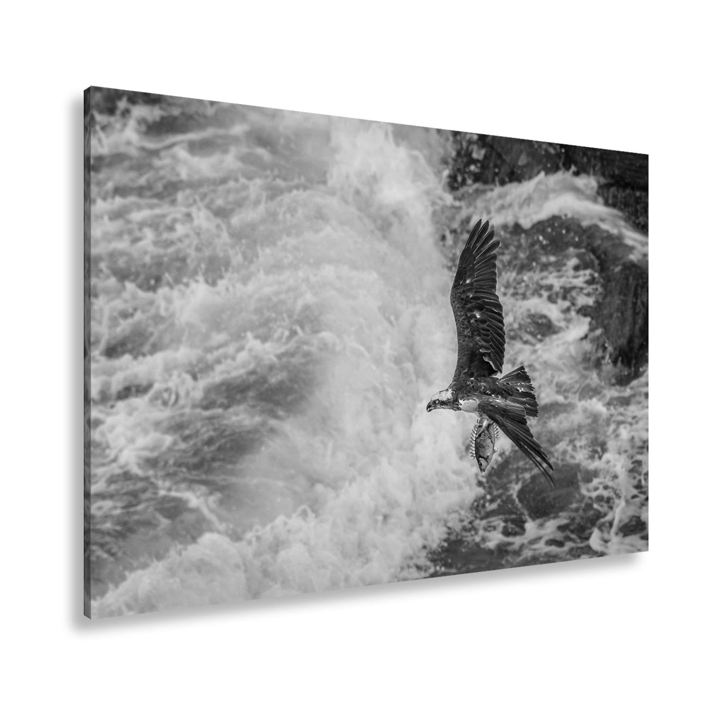 Leinwandbild Stürzender Jäger im Wellenschlag mit Beute - deyoli