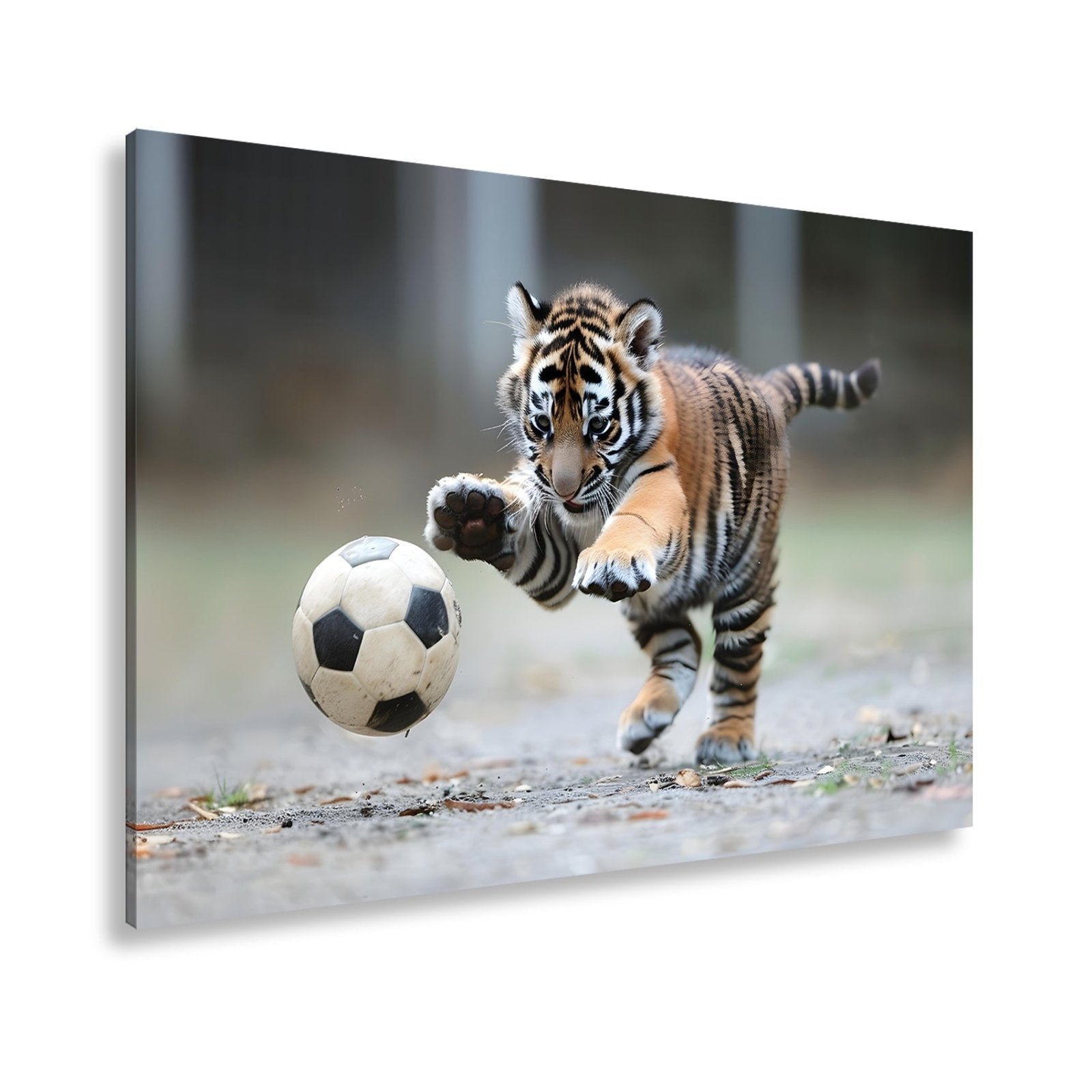 Leinwandbild Tigerbaby im Spielrausch – voller Energie am Ball. - deyoli