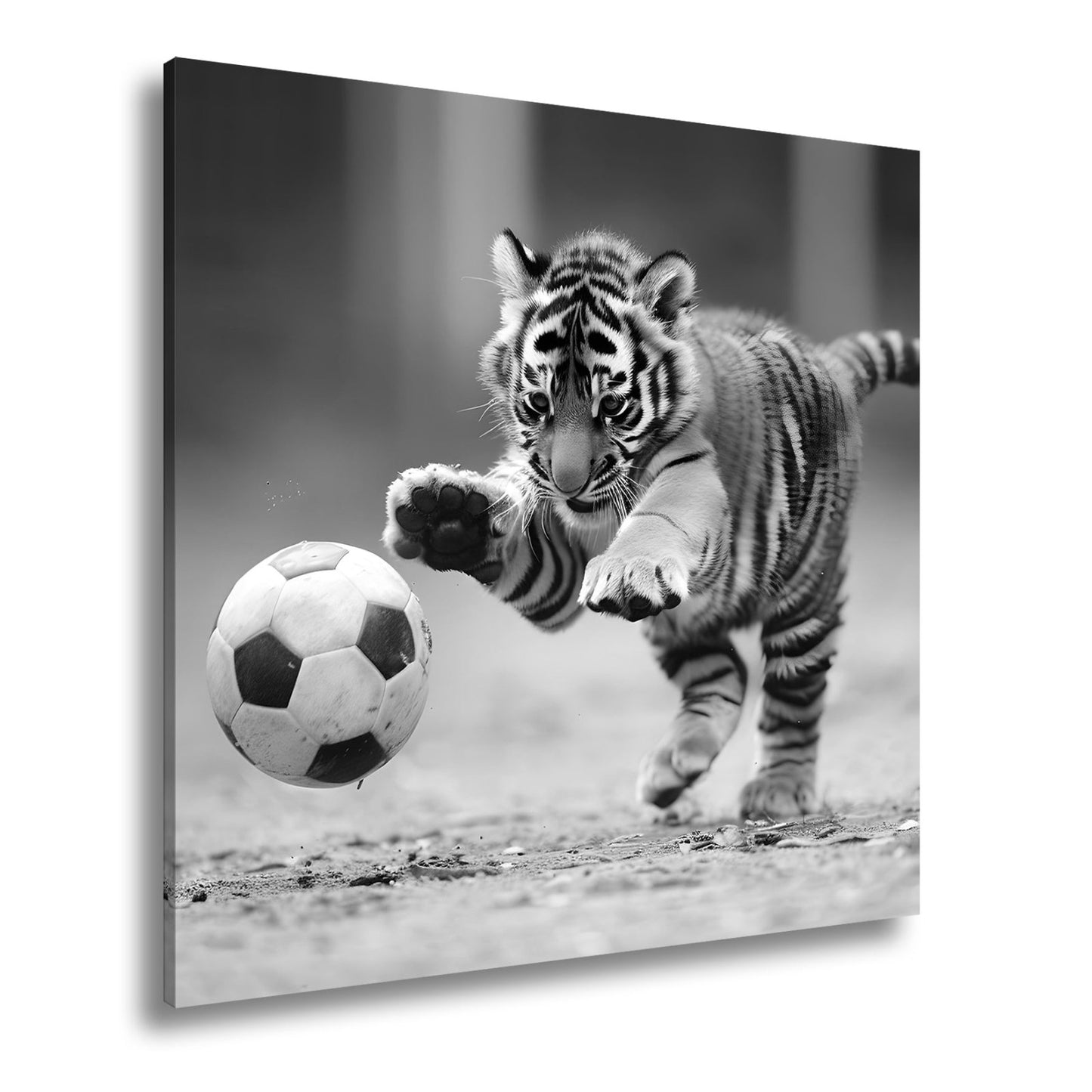 Leinwandbild Tigerbaby im Spielrausch – voller Energie am Ball. - deyoli