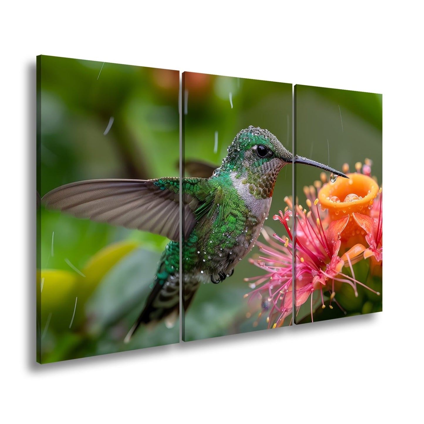 Leinwandbild Tropfenglanz auf Smaragd – ein Kolibri küsst die Blüte. - deyoli
