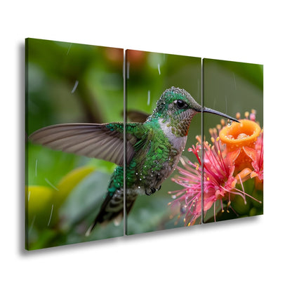 Leinwandbild Tropfenglanz auf Smaragd – ein Kolibri küsst die Blüte. - deyoli