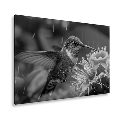 Leinwandbild Tropfenglanz auf Smaragd – ein Kolibri küsst die Blüte. - deyoli