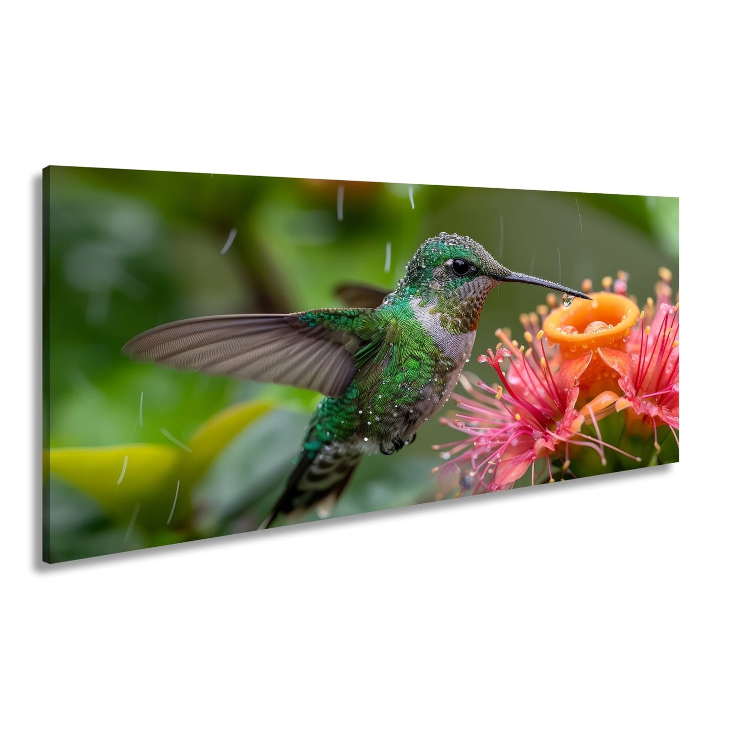 Leinwandbild Tropfenglanz auf Smaragd – ein Kolibri küsst die Blüte. - deyoli
