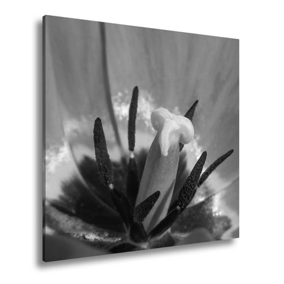 Leinwandbild Tulpenherz – Leuchtendes Rot und Gold XXL Wandbild - deyoli