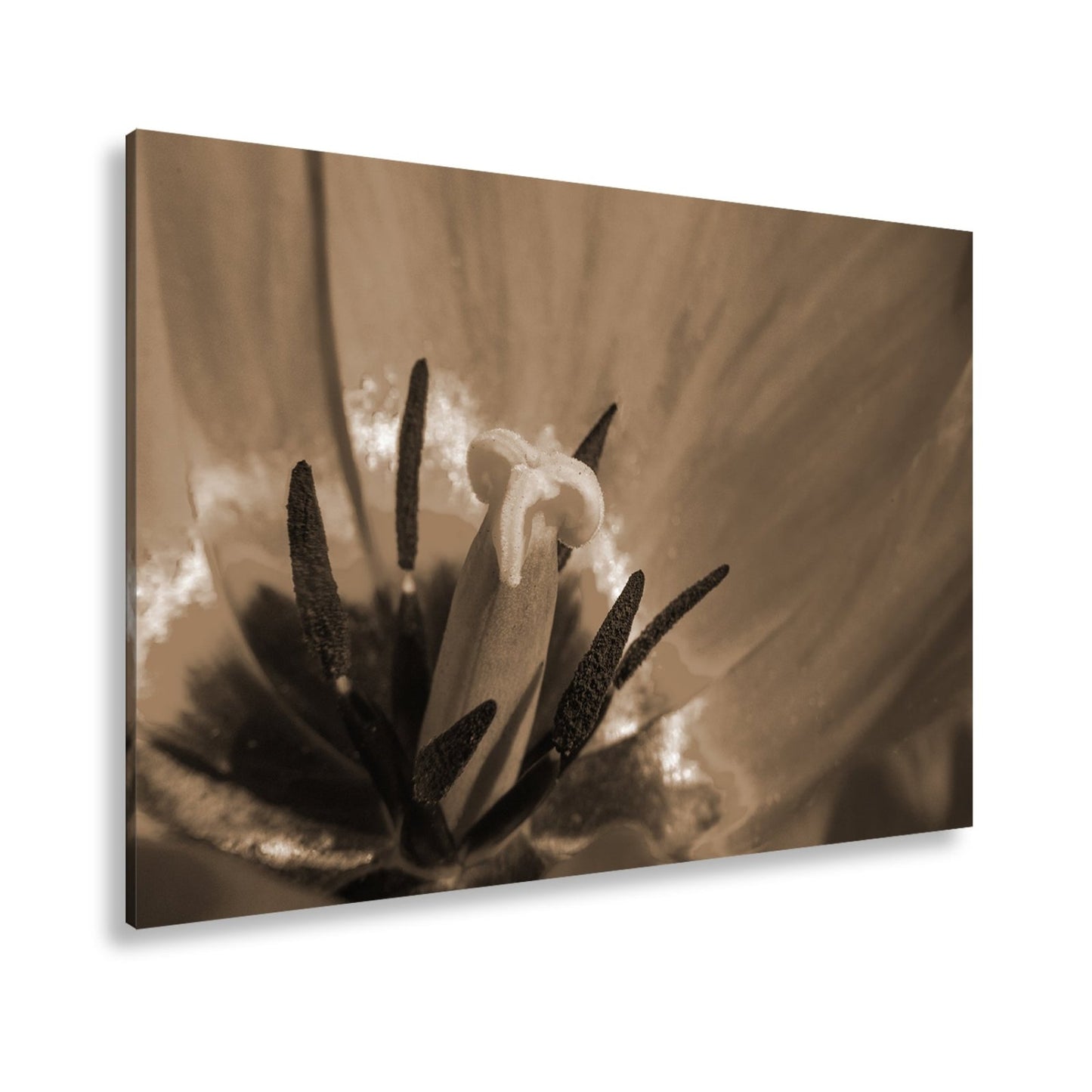 Leinwandbild Tulpenherz – Leuchtendes Rot und Gold XXL Wandbild - deyoli