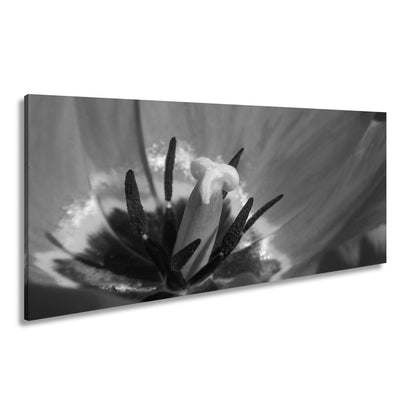 Leinwandbild Tulpenherz – Leuchtendes Rot und Gold XXL Wandbild - deyoli