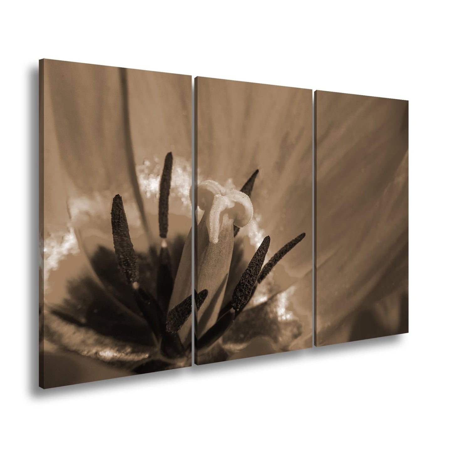 Leinwandbild Tulpenherz – Leuchtendes Rot und Gold XXL Wandbild - deyoli