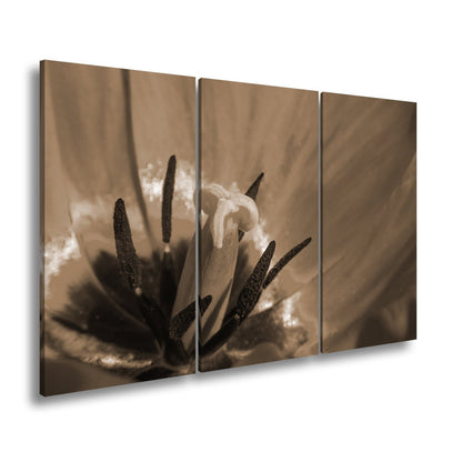 Leinwandbild Tulpenherz – Leuchtendes Rot und Gold XXL Wandbild - deyoli
