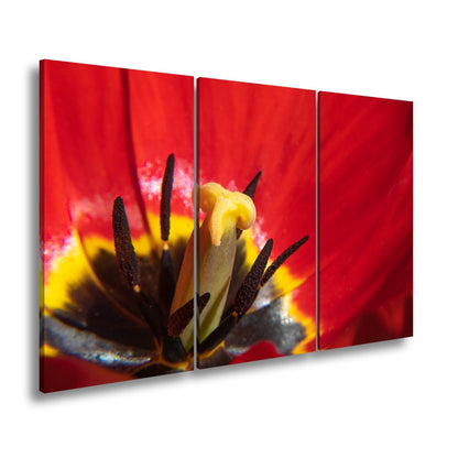 Leinwandbild Tulpenherz – Leuchtendes Rot und Gold XXL Wandbild - deyoli