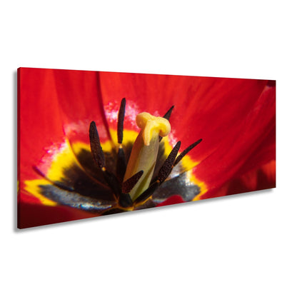 Leinwandbild Tulpenherz – Leuchtendes Rot und Gold XXL Wandbild - deyoli