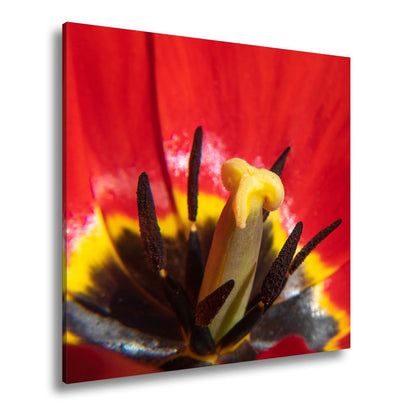 Leinwandbild Tulpenherz – Leuchtendes Rot und Gold XXL Wandbild - deyoli