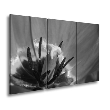Leinwandbild Tulpenherz – Leuchtendes Rot und Gold XXL Wandbild - deyoli