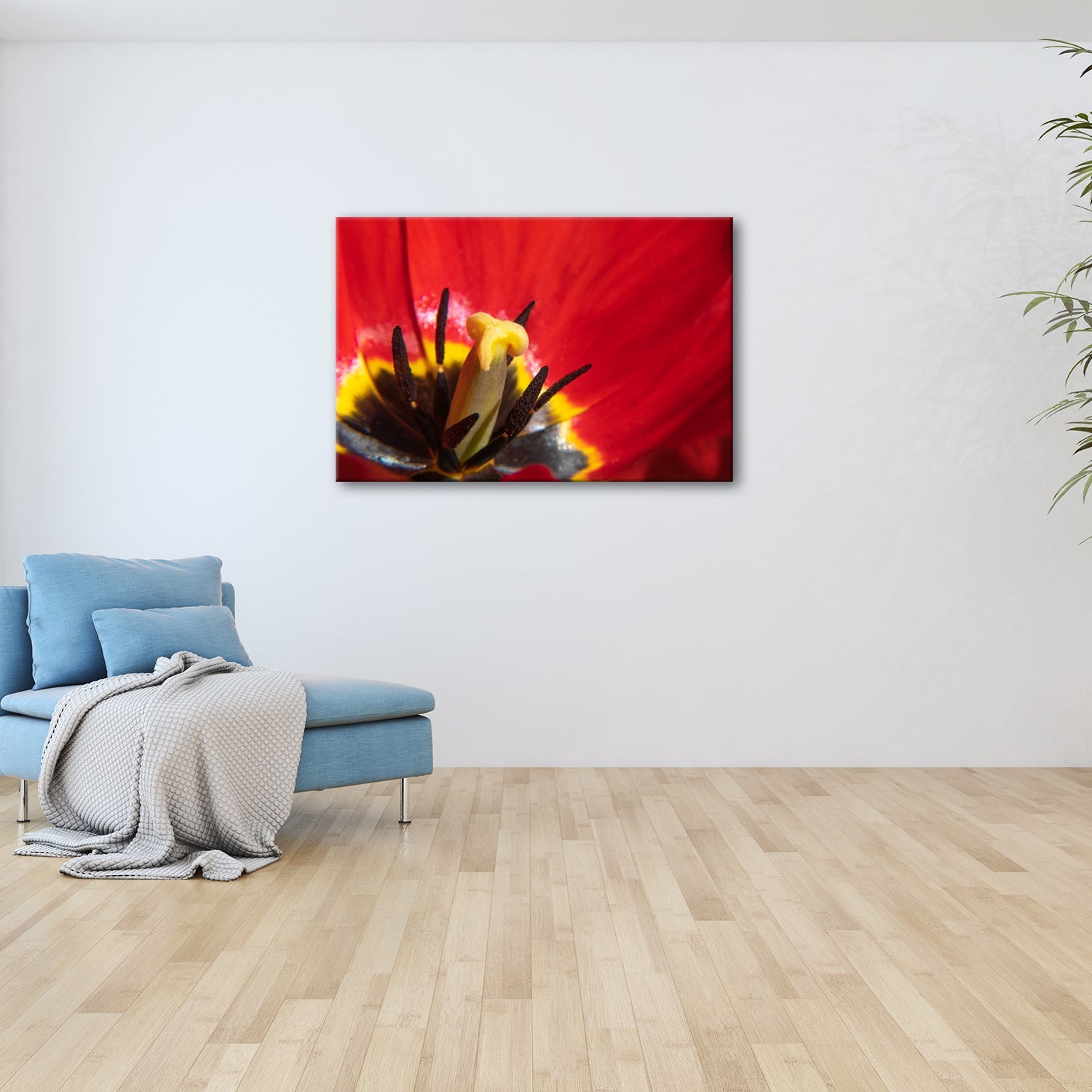 Leinwandbild Tulpenherz – Leuchtendes Rot und Gold XXL Wandbild - deyoli