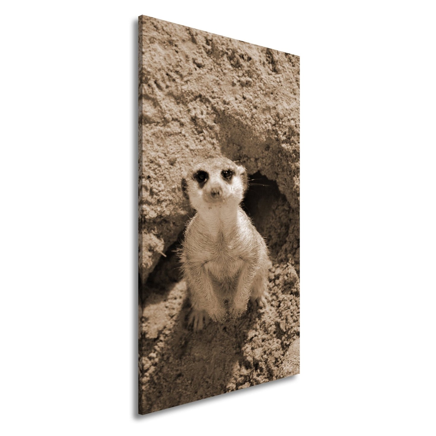 Leinwandbild Wachsames Erdmännchen – klein, flink, stets auf der Hut. - deyoli