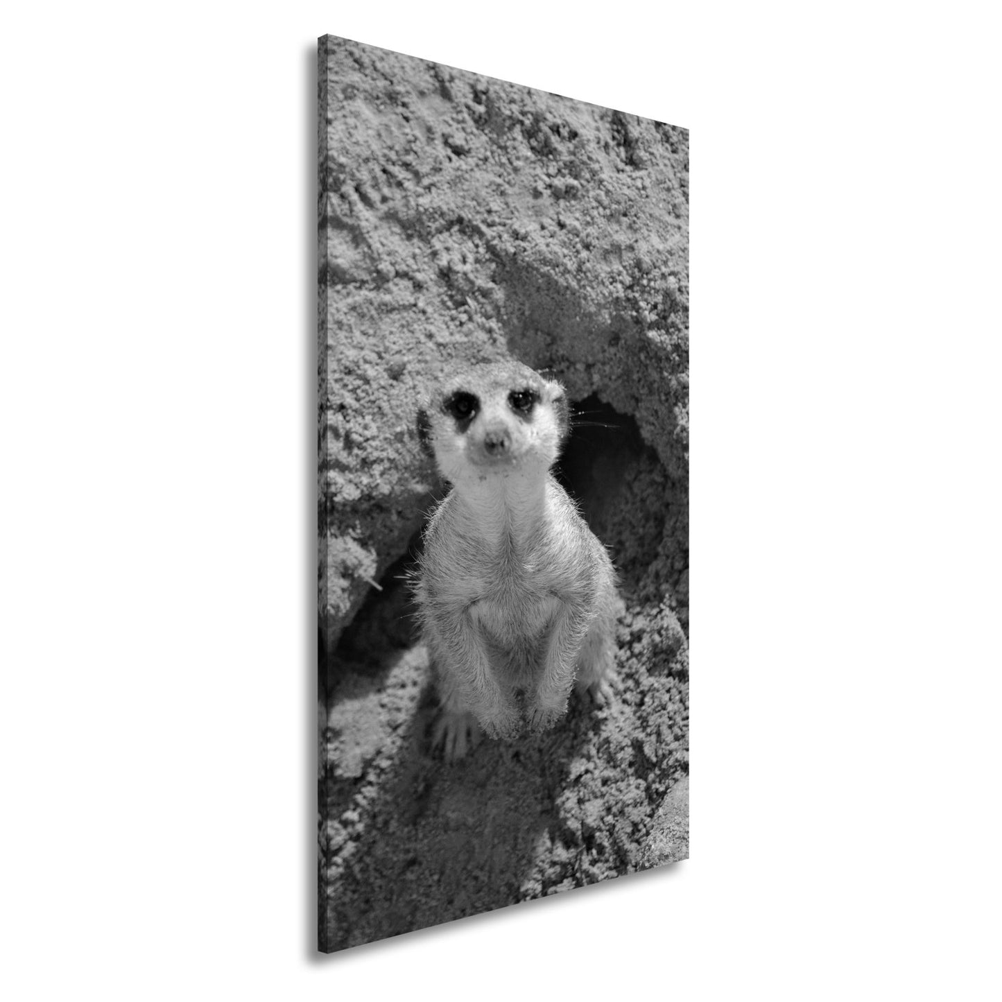 Leinwandbild Wachsames Erdmännchen – klein, flink, stets auf der Hut. - deyoli