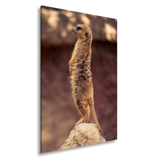 Leinwandbild Wächter der Savanne mit scharfem Blick - deyoli