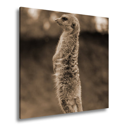 Leinwandbild Wächter der Savanne mit scharfem Blick - deyoli