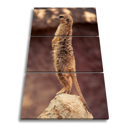 Leinwandbild Wächter der Savanne mit scharfem Blick - deyoli
