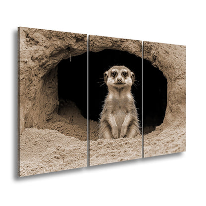 Leinwandbild Wächter der Wüste – Erdmännchen posiert vor dunklem Bau. - deyoli